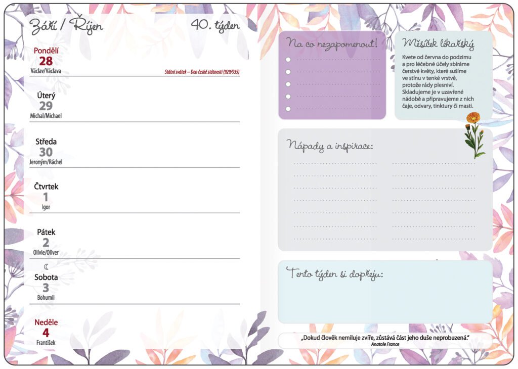 Diáře 2026, plánovací diáře - Týdenní diář B6 Bylinkový Herbs s gumičkou