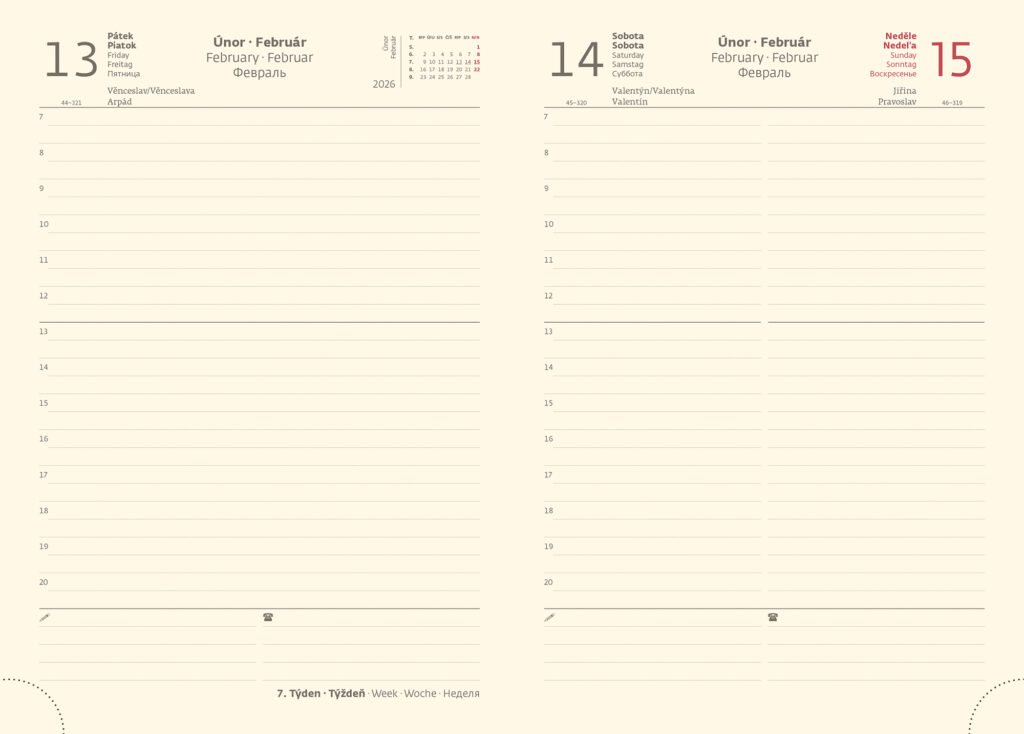 NEW PRAGA (nepravidelná struktura) - Denní diář A5 New Praga zelený s gumičkou