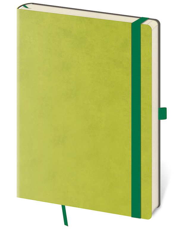 Zápisníky s gumičkou - Linkovaný zápisník Flexies L Petrol Light Green