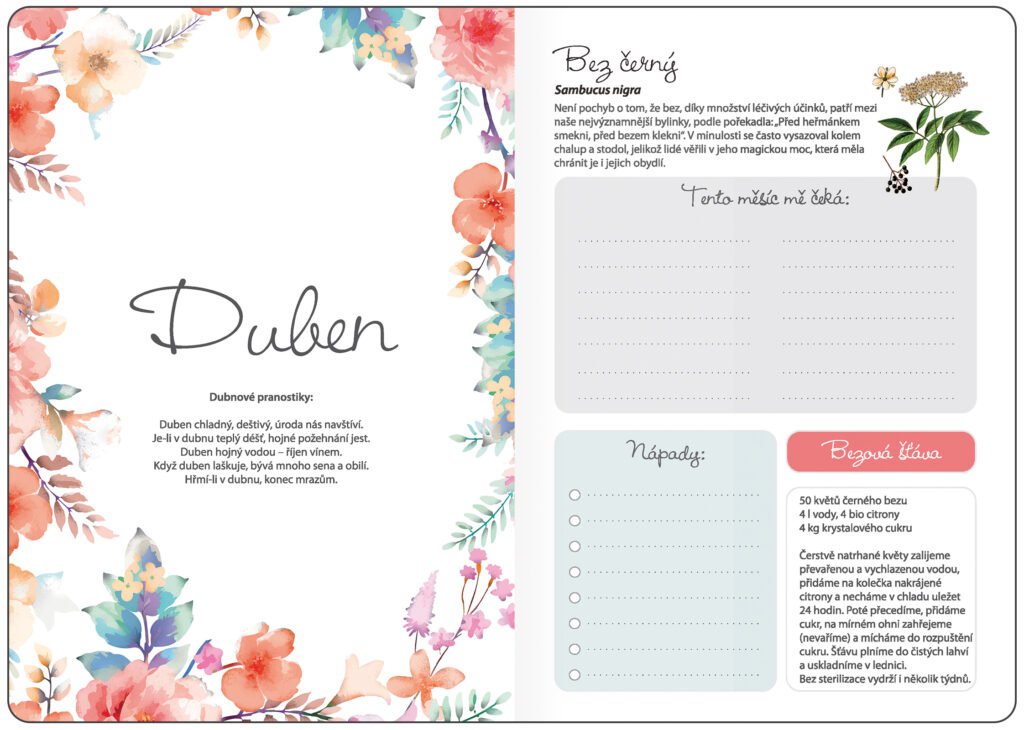 BYLINKOVÝ DIÁŘ - Týdenní diář B6 Bylinkový Meadow s gumičkou